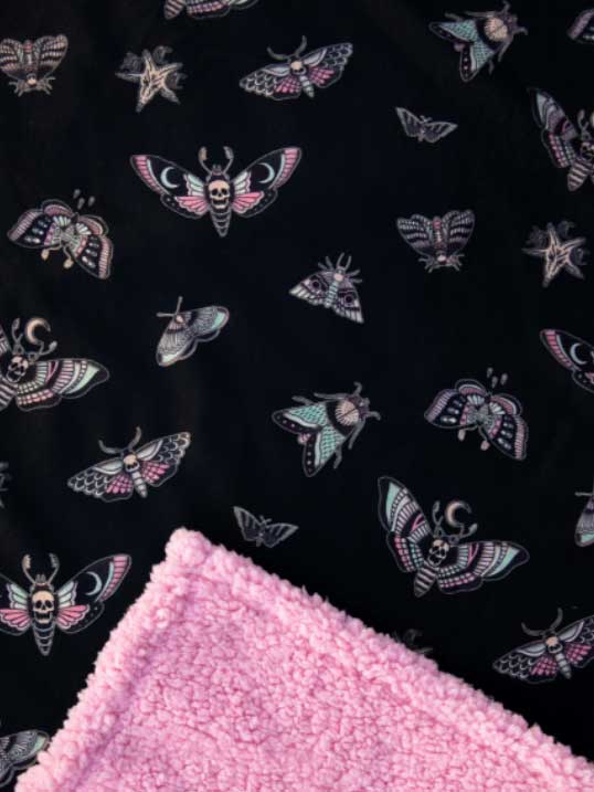 black and pink insects